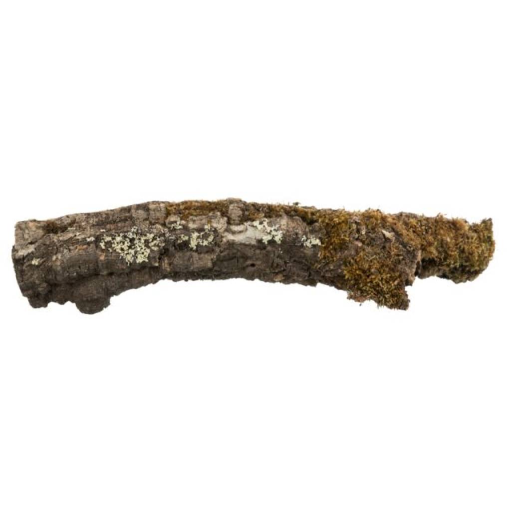 Korkröhre